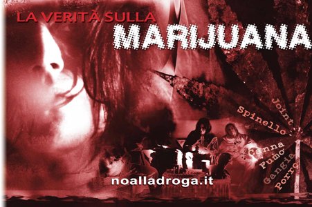 PERICOLI NASCOSTI DELLA MARIJUANA